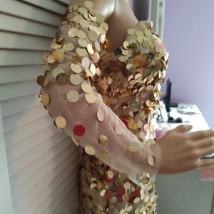 Sexy sheer metallic gown